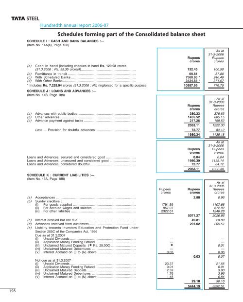 100th Annual Report 2006-2007 - Tata Steel