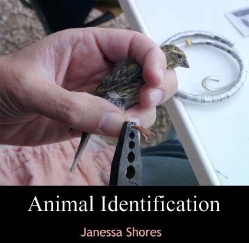 ANIMAL IDENTICATION.pdf