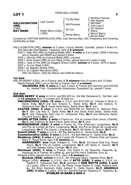 Full Sale Catalogue - Tattersalls