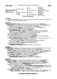 Sale Catalogue - Tattersalls