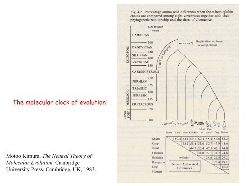 3. Chemical kinetics of molecular evolution - TBI - UniversitÃ¤t Wien