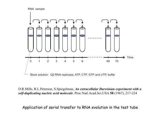 3. Chemical kinetics of molecular evolution - TBI - UniversitÃ¤t Wien