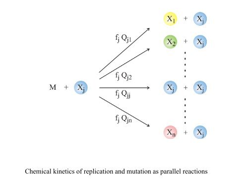 3. Chemical kinetics of molecular evolution - TBI - UniversitÃ¤t Wien