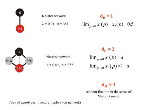 3. Chemical kinetics of molecular evolution - TBI - UniversitÃ¤t Wien