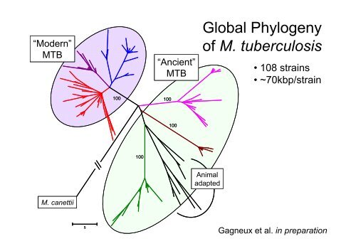 How Is TB Transmitted ?