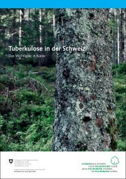 Kurzversion Handbuch Tuberkulose 2011: Das Wichtigste in KÃ¼rze