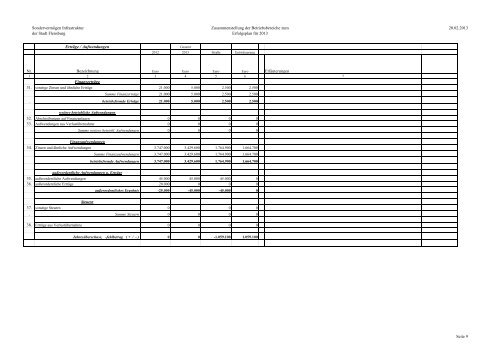 Wirtschaftsplan SV 2013 - TBZ Flensburg