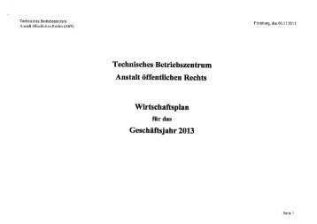 Wirtschaftsplan TBZ 2013 - TBZ Flensburg