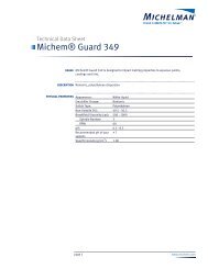 MichemÂ® Guard 349 - Farbeundlack.de