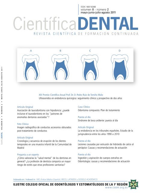 Dental Clinik - Odontología Integral - ¿Ya conoces la estructura