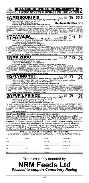 3 - New Zealand Thoroughbred Racing