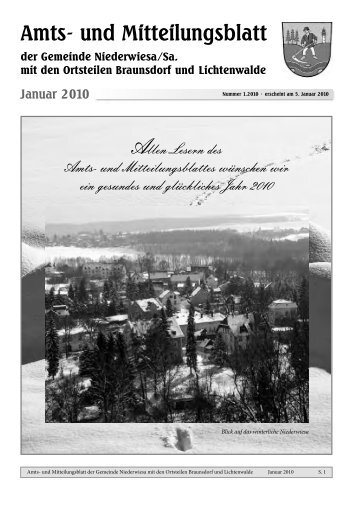 Amtsblatt Januar 2010