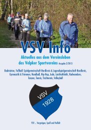 VSV Info 2/2013.pdf