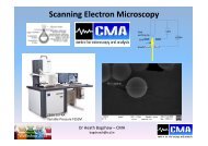 Scanning Electron Microscopy