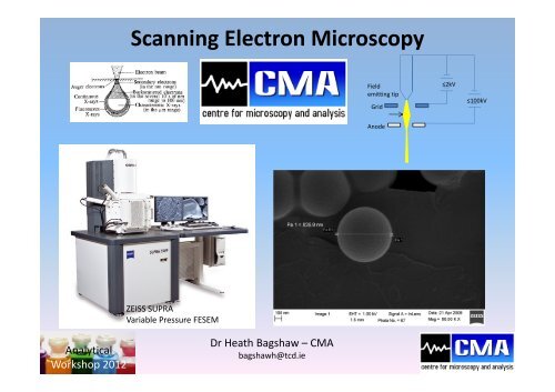 Scanning Electron Microscopy