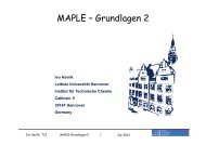 Maple Grundlagen 2 2013 - Institut fÃ¼r Technische Chemie - Leibniz ...