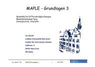 Maple Grundlagen 3 2012 Differentialgleichungen - Institut fÃ¼r ...