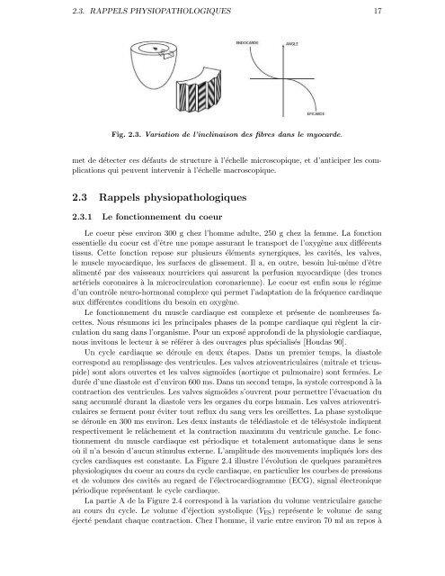 Imagerie par résonance magnétique du tenseur de diffusion (IRM ...