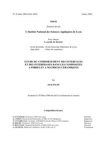 etude du comportement des interfaces et des interphases dans les ...