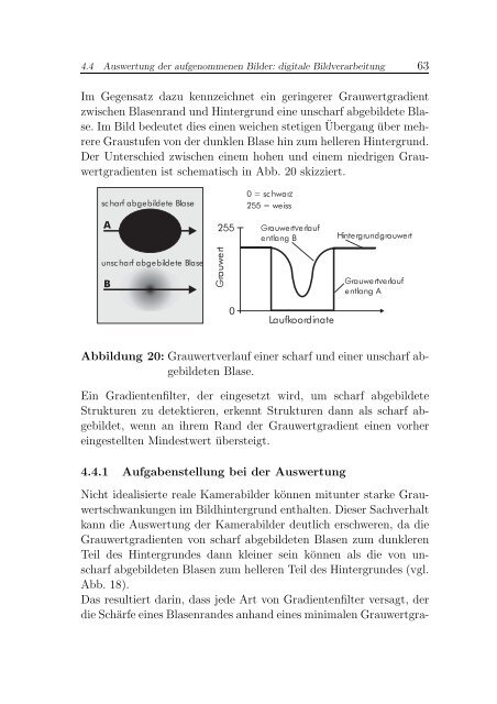 Thesis - Tumb1.biblio.tu-muenchen.de