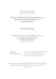 pdf-download - Lehrstuhl fÃ¼r Thermodynamik - Technische ...