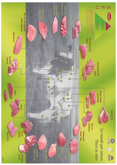 Catalogue de viande - Beauval