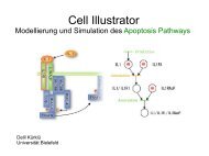 Cell Illustrator - Universität Bielefeld