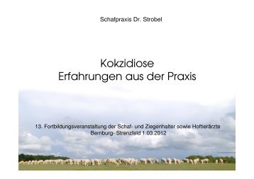 Dr. Heinz Strobel Kokzidiose - Tiergesundheitsdienst Sachsen-Anhalt
