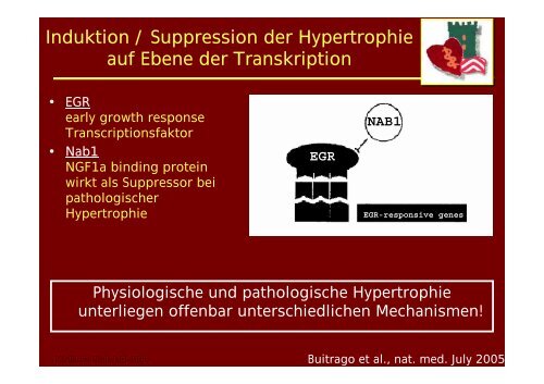 Die andere Kardiomyopathie: Differentialdiagnose und ... - theHeart.de