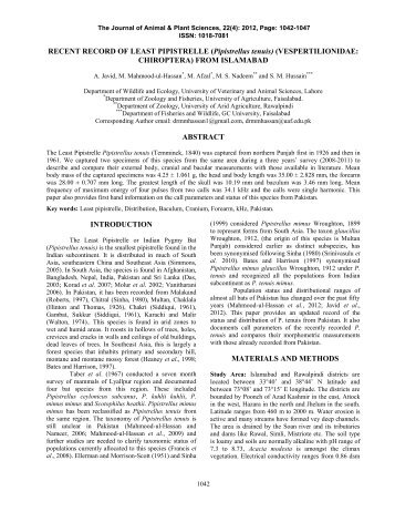 RECENT RECORD OF LEAST PIPISTRELLE (Pipistrellus tenuis ...