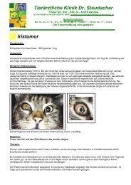 Iristumor - Tierklinik Dr. Staudacher