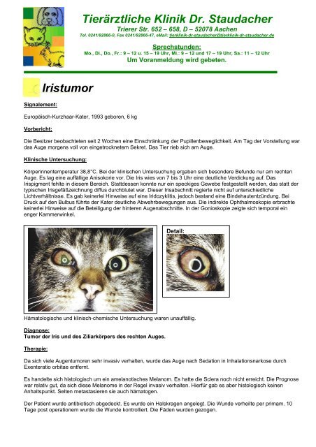 Iristumor - Tierklinik Dr. Staudacher