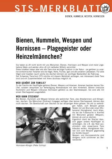 Merkblatt Bienen ... - Schweizer Tierschutz STS
