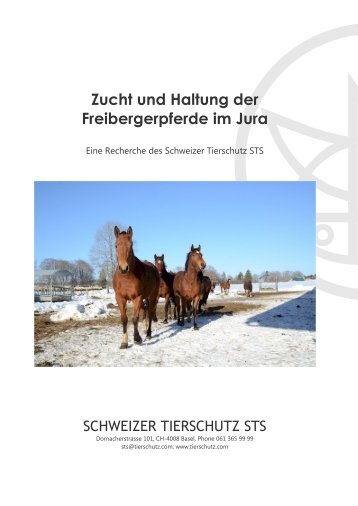 Zucht und Haltung der Freibergerpferde im Jura - Schweizer ...