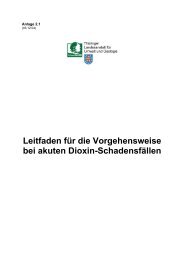 Leitfaden für die Vorgehensweise bei akuten Dioxin-Schadensfällen
