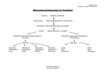 Meerschweinchenarten im Vergleich - Schulzoo-Leipzig eV