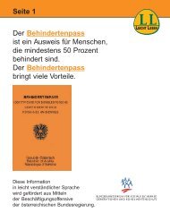 Behindertenpass - Informationsblatt 2 (283 KB)