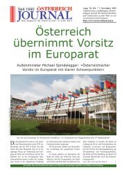 Ã–sterreich Ã¼bernimmt Vorsitz im Europarat - Ã–sterreich Journal