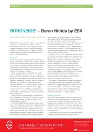 BORONEIGE® - Boron Nitride by ESK