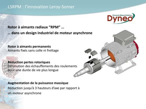 Mathieu Devidas, LeroyâSomer SA - Topmotors