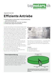 Merkblatt (PDF) - Topmotors