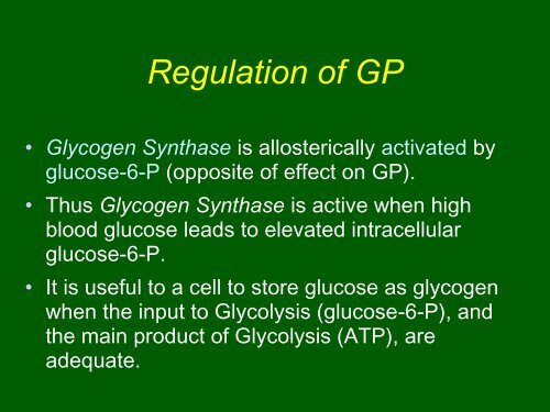 Glycogen - TOP Recommended Websites