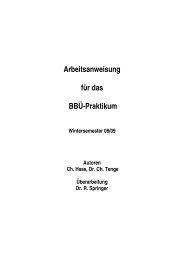 BBUE Arbeitsanweisung .pdf