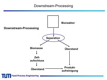downstream processing.pdf