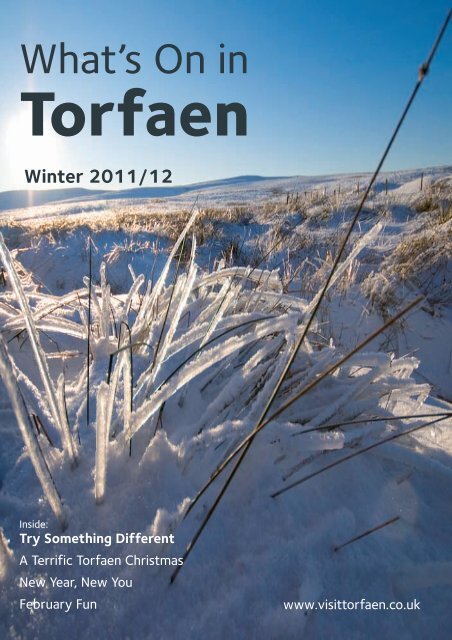 Torfaen Family Information Service