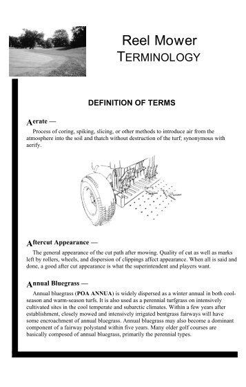 Reel Mower - Toro