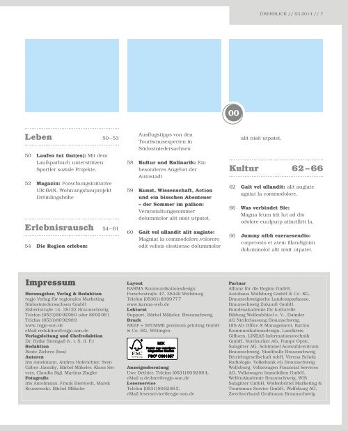 regjo Südostniedersachsen - Heft 3 - 2014 - Konsum