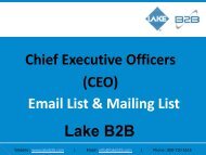 CEO Email Lists has customized information for clients