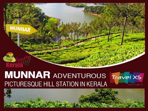 Munnar Tour Packages - Trip to Enchanting Hill Station