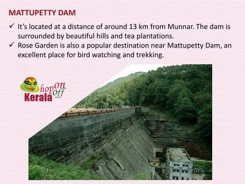 Munnar Tour Packages - Trip to Enchanting Hill Station